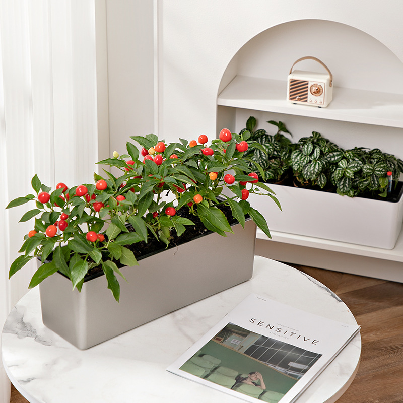 Maceta Autoabsorbente Rectangular de Gran Diámetro, para Balcón y Ventana, de Resina