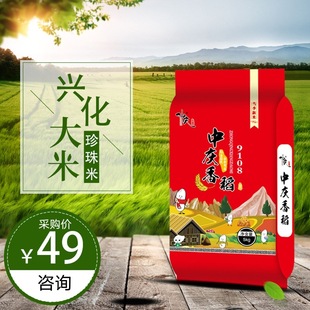 �S�����lܛŴ��ā�Ͼ�9108���� 10��2025��������������