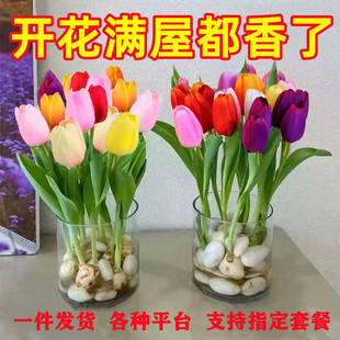 ���ͺ����B��ˮ���ļ����������Ի���ֲ��͏d�Gֲ���ܴ�ȫ�B����