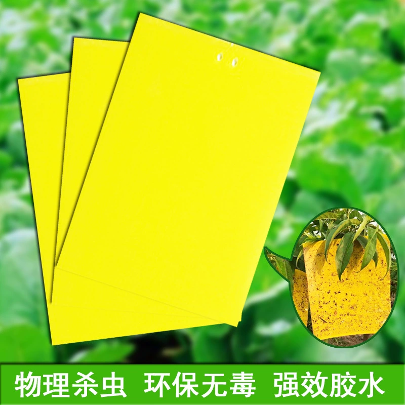 Двусторонняя липкая доска для насекомых, внешняя торговля, трансграничная желтая доска для ловушек для фруктовых мух, ловушка для насекомых, сельскохозяйственная теплица, мощная липкая доска для ловли насекомых