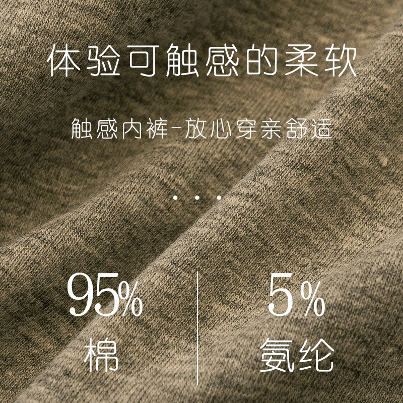 Ropa interior de algodón de las mujeres de algodón antibacteriano entrepierna Mediados de cintura de las mujeres respirables chicas japonesas de alta apariencia de las mujeres al por mayor image 5