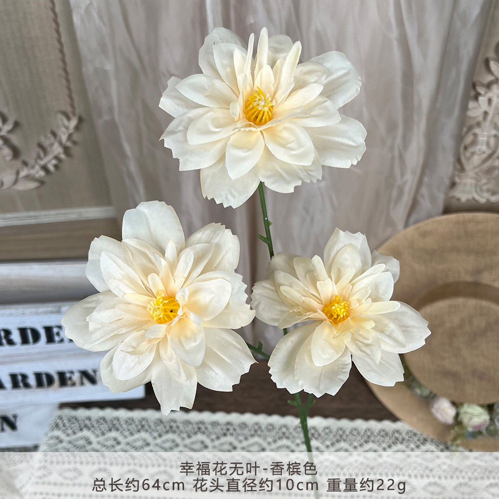 ZYJ2-幸福花无叶-香槟色