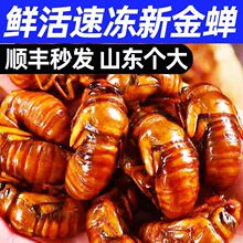 ��������r��ɱ����s������������r������؛Դ���S�l�sӼ֪�˺�