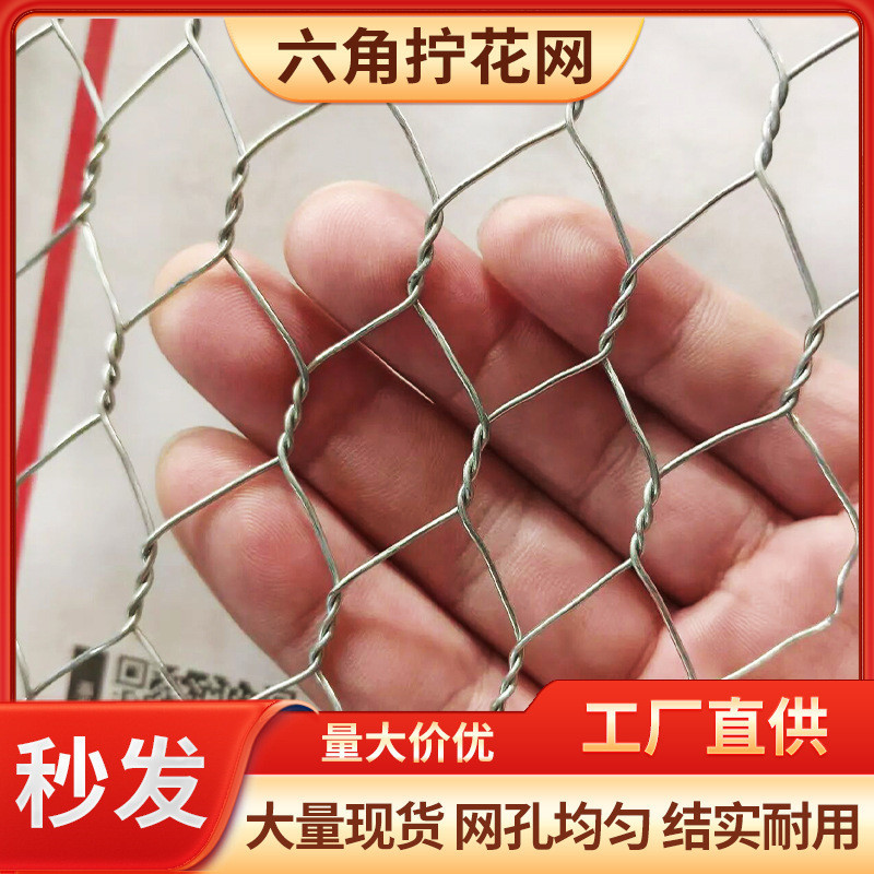保温六角铁丝网厂 现货插花装饰吊顶婚庆网 定制正反拧镀锌拧花网