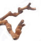 Natural Double-branch Grape Wooden Bird Station Rack Parrot Bird Perch Grinding Claw Bird Station Pole with Bifurcation Grape Wooden Station Stick Toy