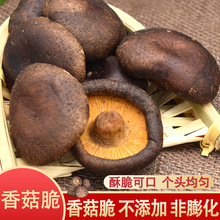即食黑松露味香菇100g脆儿童零食香菇干蔬菜果蔬脆黑松露蘑菇脆
