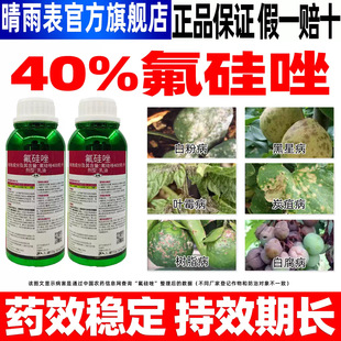 40%������׷۲����Ú����� ���r��ӯ ��������Ʒ�rș�F؛���l