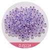 DS11