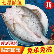 �|�~���|�~�_�����r����r������Ǻ������|�~���|�~ȥ�wȥ���K