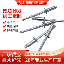 爱得力促销扁圆头不锈钢抽芯铆钉304不锈钢抽芯铆钉厂家批发