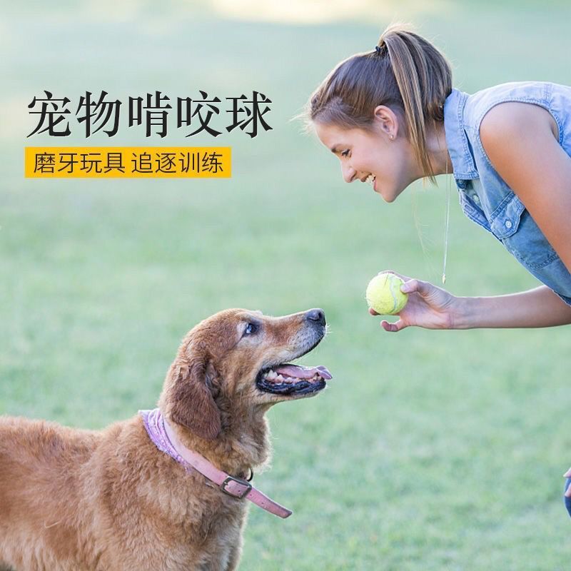 犬のおもちゃボール弾性テニスボールゴールデンレトリバーサモエドトレーニングインタラクティブおもちゃ歯ぎしりトレーニングボール形状ラウンド|undefined