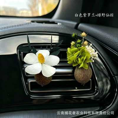 Car Gift Car Interior Fragrance: Car Perfume Aromatherapy