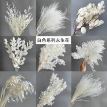 ��������ɫϵ�иɻ��滨��c��Y �������ɻ������b� ����������
