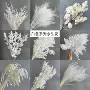 婚庆婚礼系列白色永生花