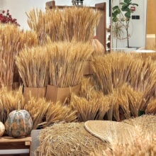 �����벼�������쾰�＾�Շ����b��׃��@�h�����ߔ[�����������