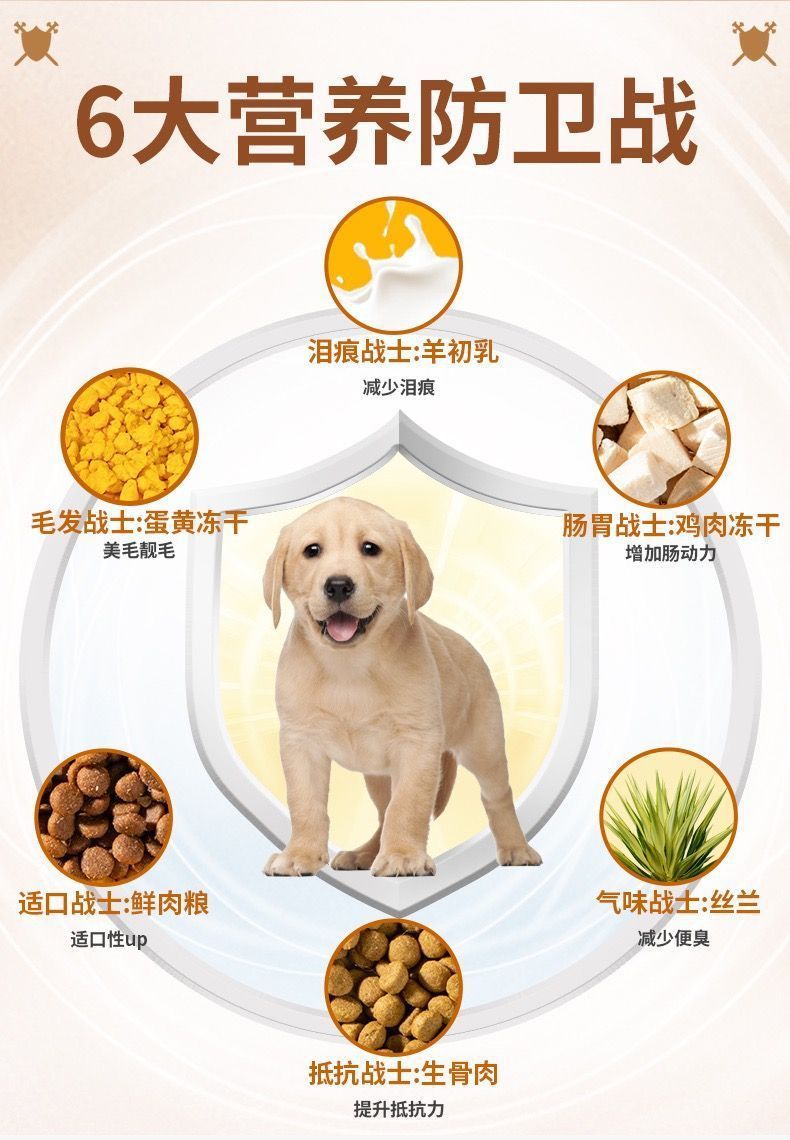 e38262ca-e0cf-4696-b27a-bd6811a664e3.jpe