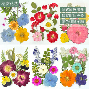 ��Ʒ�� �N�ɻ����ϰ�10���������������ֹ��ɻ�DIY���ϰ����l