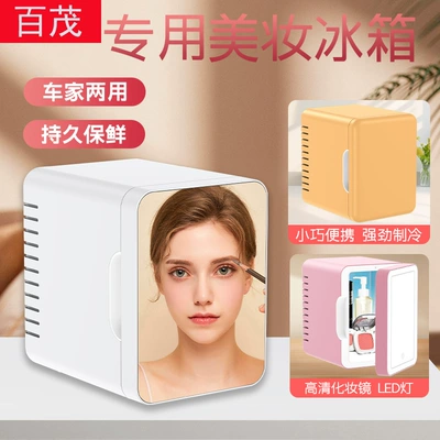 Car Beauty Makeup Refrigerator 4L Mini Refrigerator Car Makeup Mirror Household Skin Care Mask Refrigeration Incubator