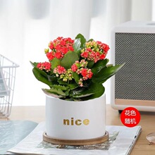 ���F����������С�Gֲ�҃��k�����lؔ��ֲ�������k���һ�������