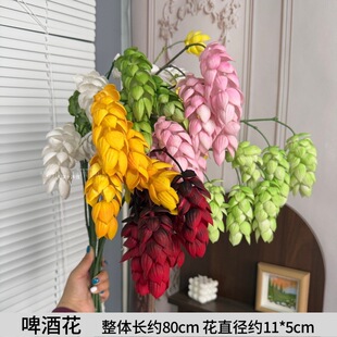 ܛ�z����ơ�ƻ��W�t�����쾰���˽���c�Ғ컨ˇ�b��С����Y�ٻ�