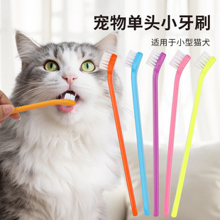 Pet toothbrush single head cat toothbrush cat oral cleaning toothbrush dog care dog toothbrush pet supplies wholesale