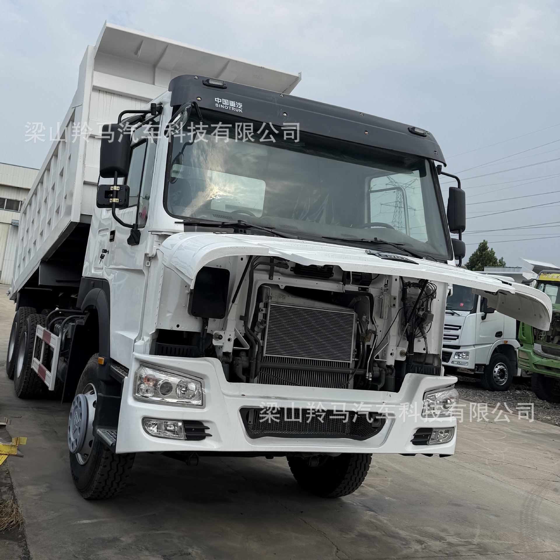 SINOTRUK HOWO Dump Truck 4.8m X4 Dump Truck High-Strength Steel Lightweight Engineering Transport Rear-Flip Dump Truck