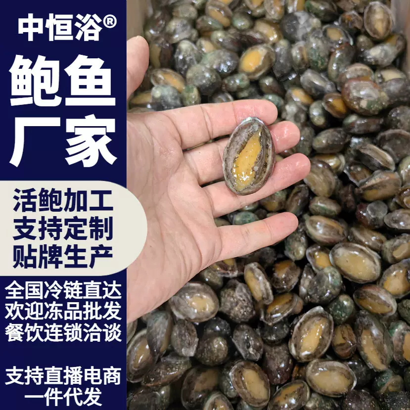 鲍鱼 冷冻海鲜水产酒店宴席商用佛跳墙火锅食材鲍鱼50-60头批发