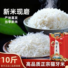 ����è���������׹��������׹ٷ��콢�곬��������5�����״���