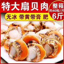 特大扇贝肉带黄带膏全贝肉整箱山东速冻扇贝肉冷冻水产鲍鱼食用无