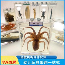 ��ͯ̽���l�F�~˱��׃��@�ƌW���̌W���������������~