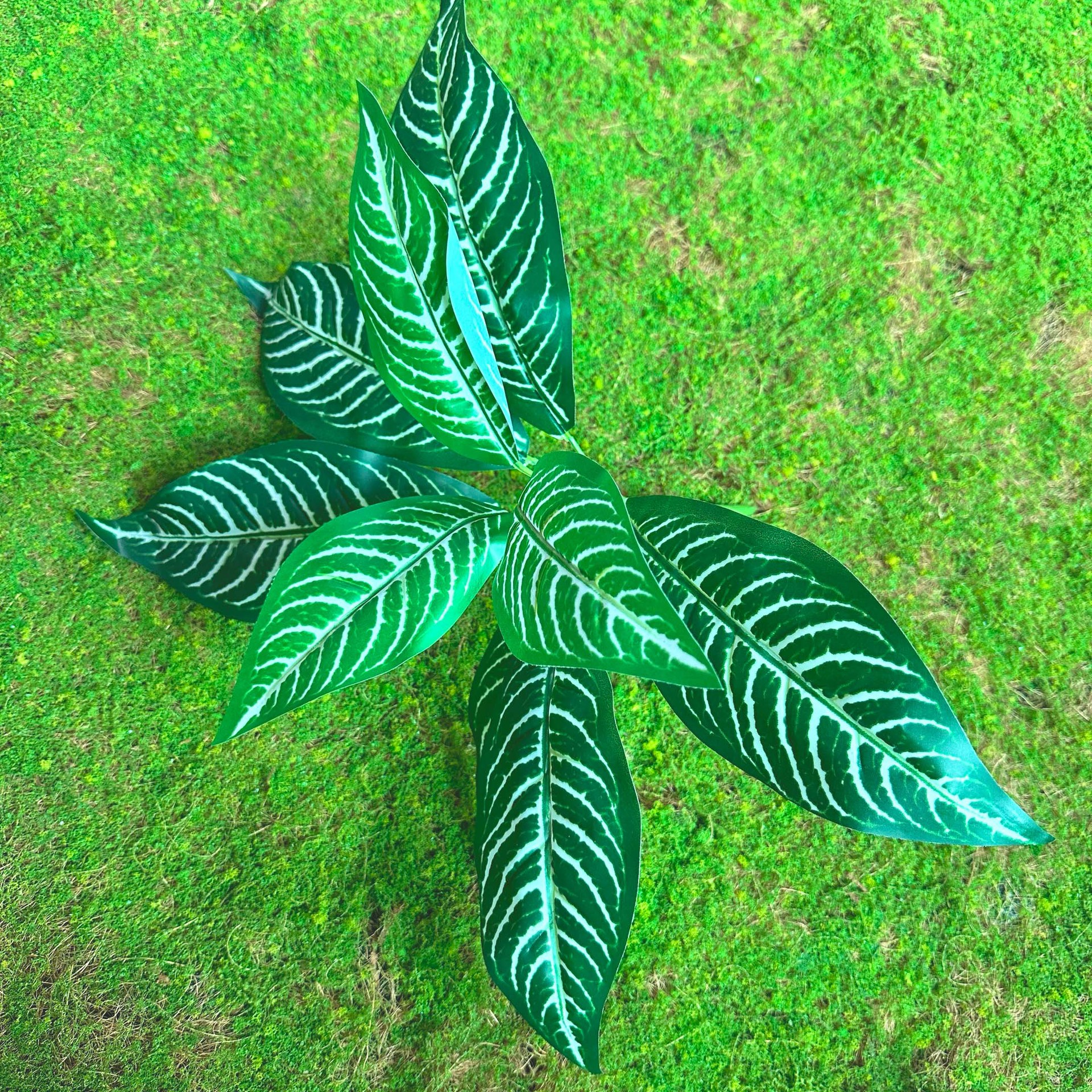 Fairy Cave tortuga hoja sentir arreglo floral hoja material planta esquina ventana belleza paisaje decoración artificial planta verde mango haz