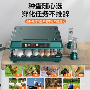 ֱ�N�u�����С�u������С�ͷ����Cȫ�Ԅ����ܼ����ͷ������r�u