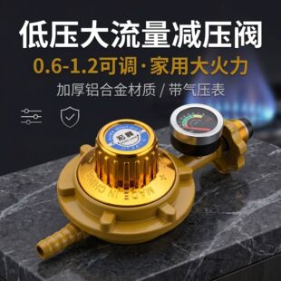����0.6-1.2��ʽ10�nҺ����p���y�T�͉��y���{ʽú���y�����