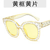 Fashionable sunglasses, marine cute glasses