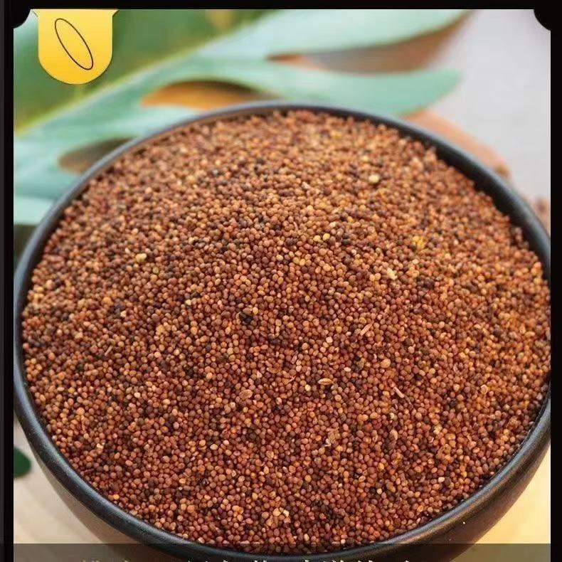 Pure Dodder Seed Powder Tu Si Zi 500g Wild-Crafted Fine Ground Herbal Powder specifications