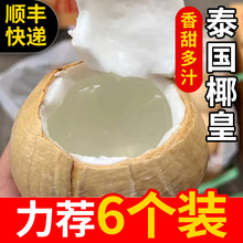 顺丰快递泰国椰皇新鲜当季水果椰青椰子肉椰奶烤椰整箱包邮打包发