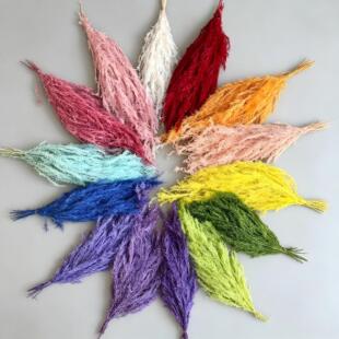 ������Ưɫǧ�ӽ���ins�L�Ҿ��b�DIY���Ļ�Y���ÿ羳���l