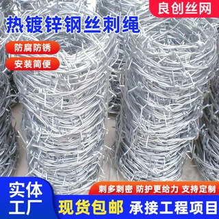 热镀锌刺绳防爬刺丝围栏铁丝网防爬防盗铁蒺藜刺绳带刺铁丝刺绳