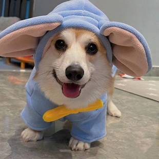 Corgi clothes autumn and winter thick warm medium-sized small dog bear Schanery vest firewood dog dog winter wholesale