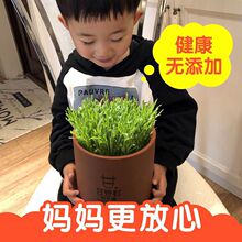 ���S��ֱ�N����Ȫ�嶹ѿ�޶�ѿ�C����С�Ͱl��ѿ�����؃r�N������