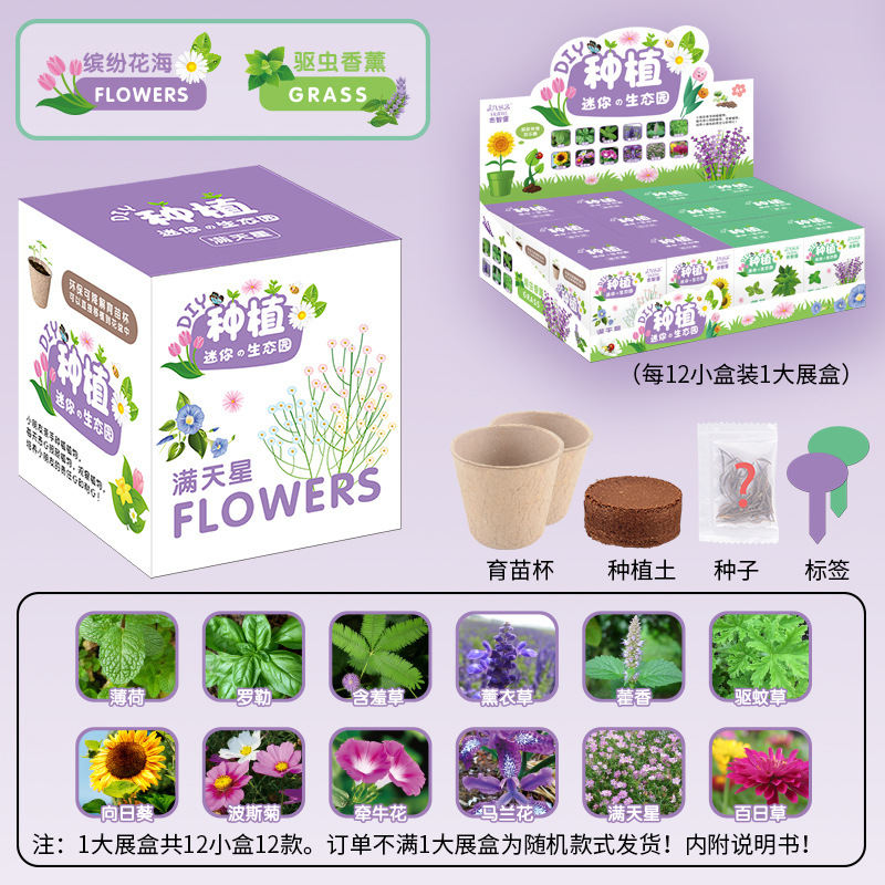 Kindergarten children's science and education homework DIY hand-planted green plant potted flower seed gift set blind box