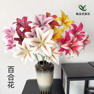 ���滨���� 3�^�ٺϻ���c���ľƵ�͏d�ٻ��ָ��z���ٺϻ����滨