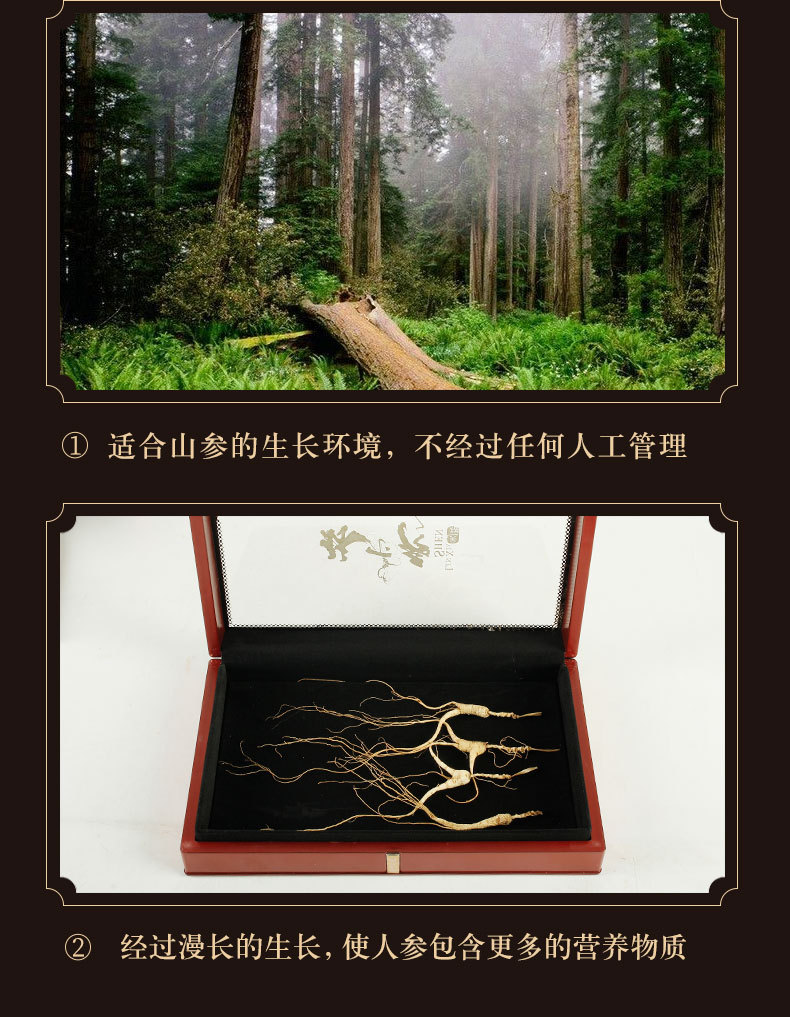Wild Mountain Ginseng Dried Forest Ginseng Changbai Mountain Northeast Specialty Aged Root for Wine and Soup key features