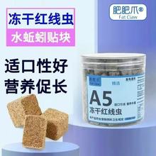 ���l�^�p�~���x�����~ʳͨ����Ͻz�xճ�Nˮ����ȸ�~���~�����~