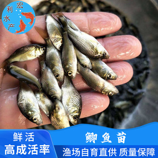 ���l����a�~�� �y�a�~�� 3-5�п�5̖�a�~�� ���a�~�� ��ˮ�~��
