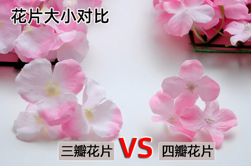 三瓣四瓣花片对比