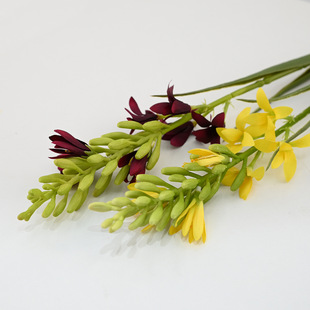 ��ʽ���|����������{ɫ����ɫ�L���ӷ�����ˮ�� �Ҿ�̨���b�