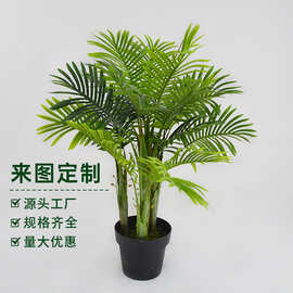 定制仿真迷你葵散尾葵DIY仿真绿植小盆栽定做  家居客厅造景装饰