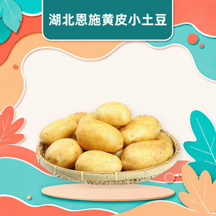 ������ʩ�SƤС���� ���l���l3/5/9���Ŵ�R����д�����r�߲�