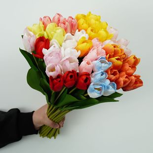 �����ָб�����������滨��c�Ҿӈ����b��R�d�羳�F؛ֱ��